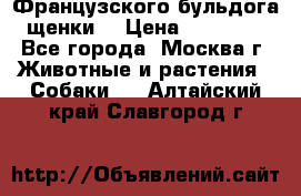 Французского бульдога щенки  › Цена ­ 35 000 - Все города, Москва г. Животные и растения » Собаки   . Алтайский край,Славгород г.